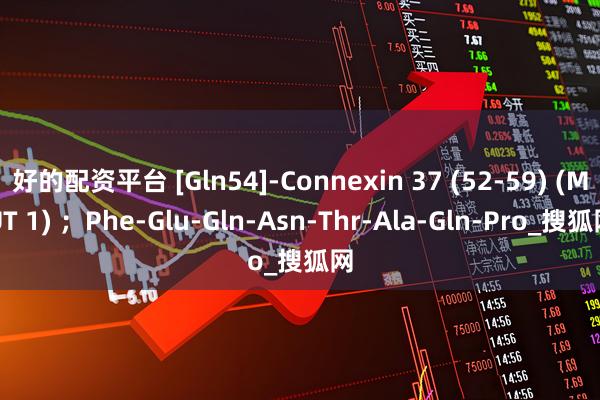 好的配资平台 [Gln54]-Connexin 37 (52-59) (MUT 1) ；Phe-Glu-Gln-Asn-Thr-Ala-Gln-Pro_搜狐网