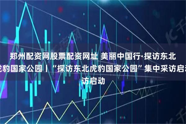 郑州配资网股票配资网址 美丽中国行·探访东北虎豹国家公园丨“探访东北虎豹国家公园”集中采访启动